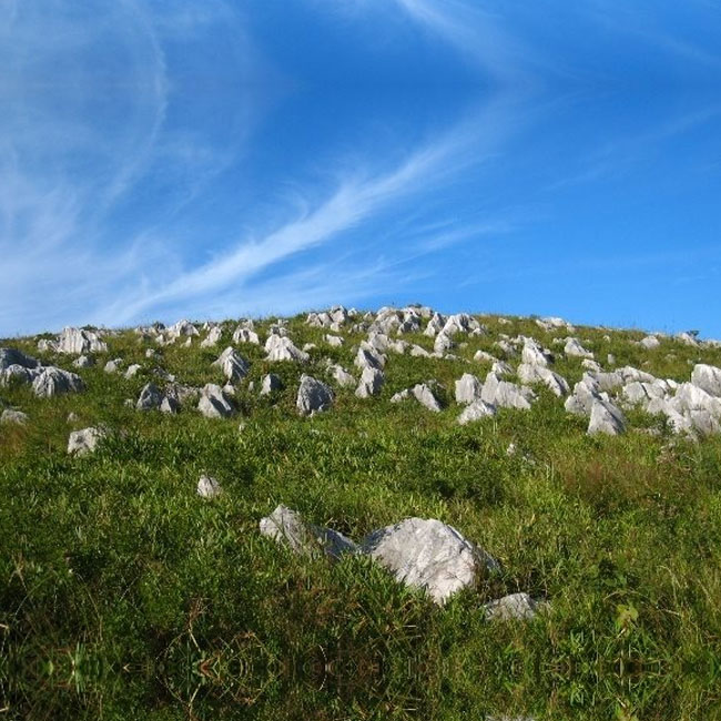 広島昭吉高原