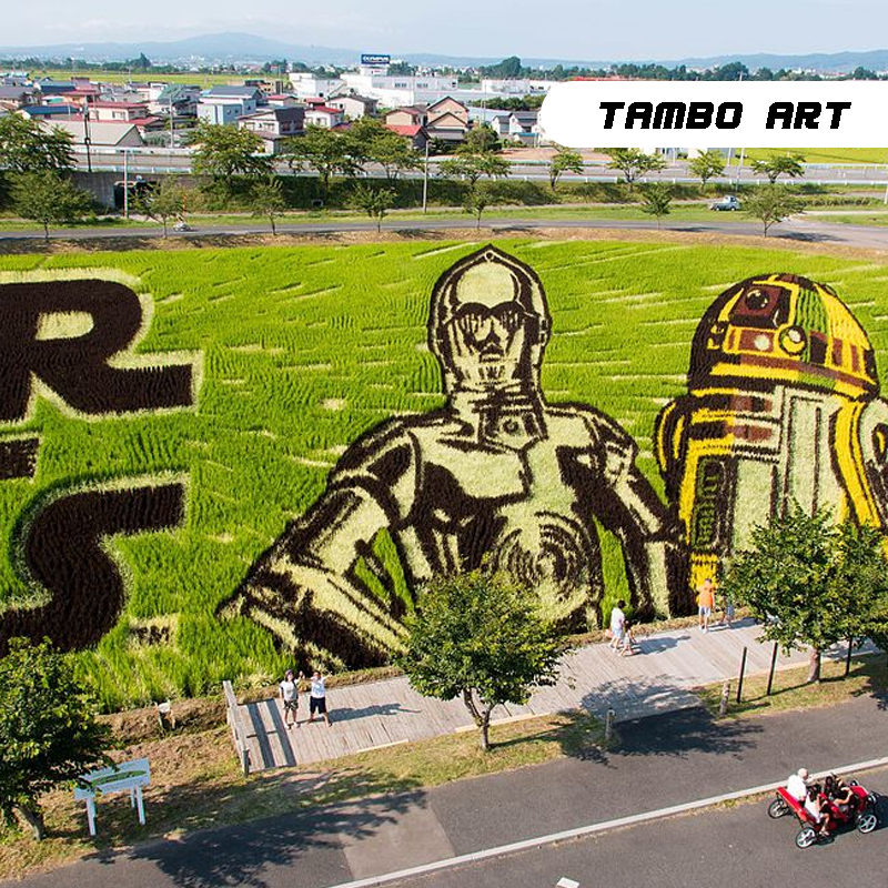 tambo art