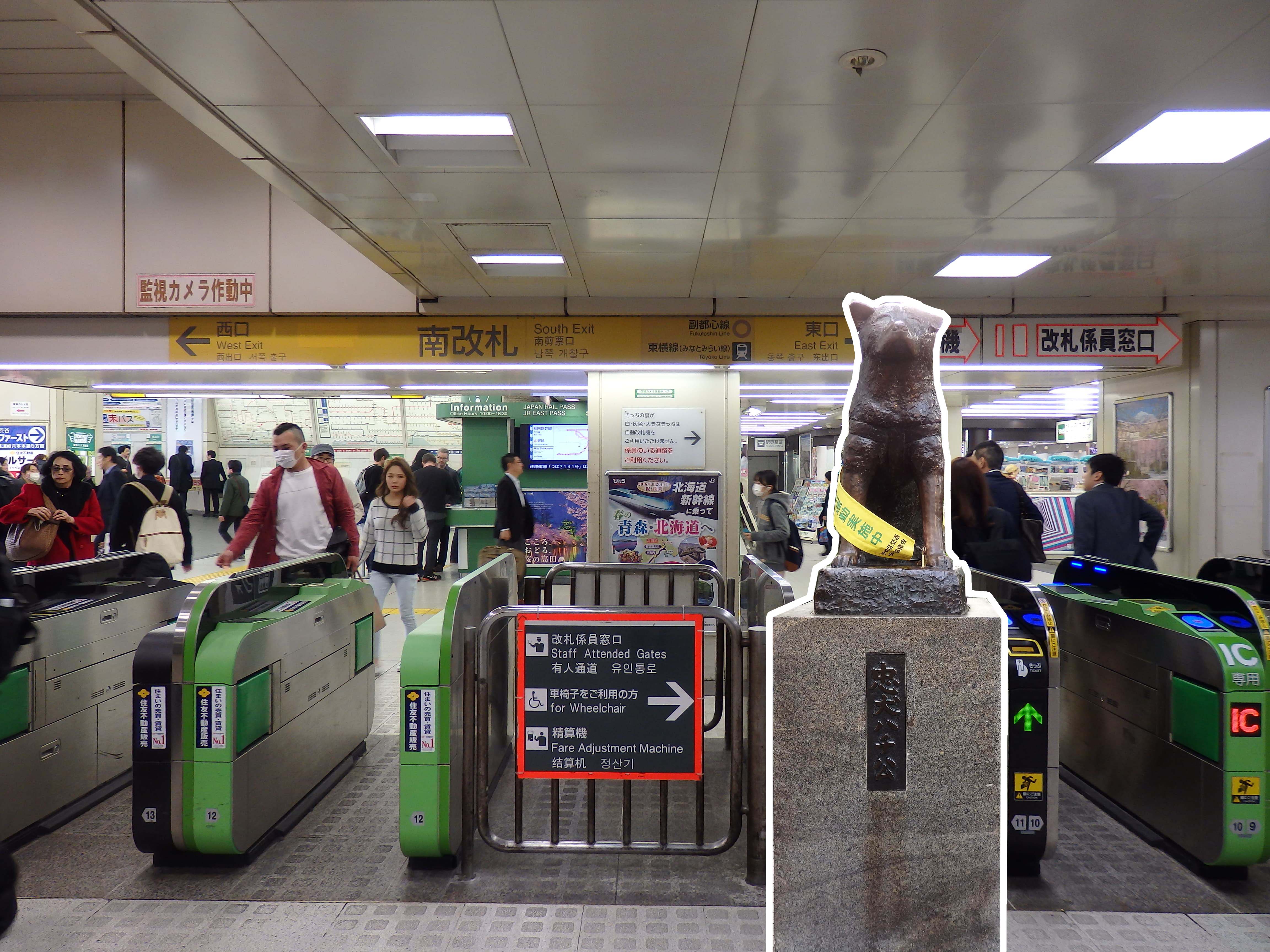 Shibuya Train Station