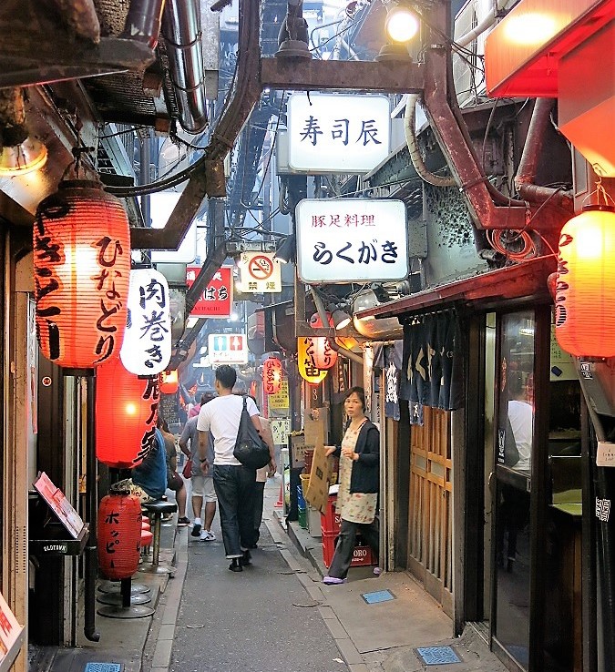 Omoide-Yokocho-Street-Shinjuku-Tokyo-Japan_02-675x738