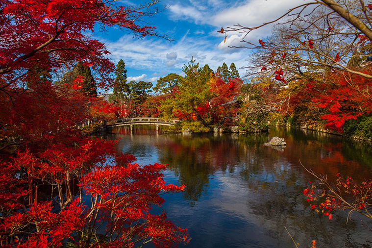 Eikando寺庙京都1