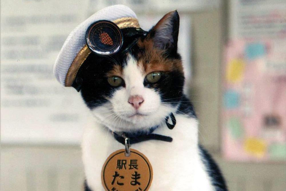 station-master-tama-the-cat