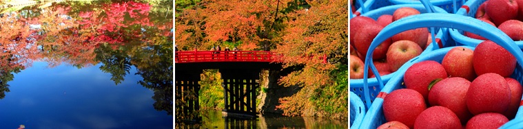 hirosaki autumn