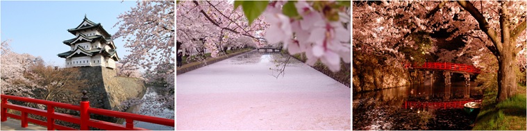 hirosaki spring