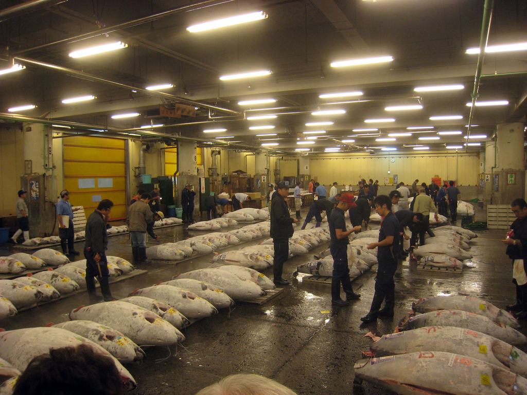 Chợ cá Tsukiji