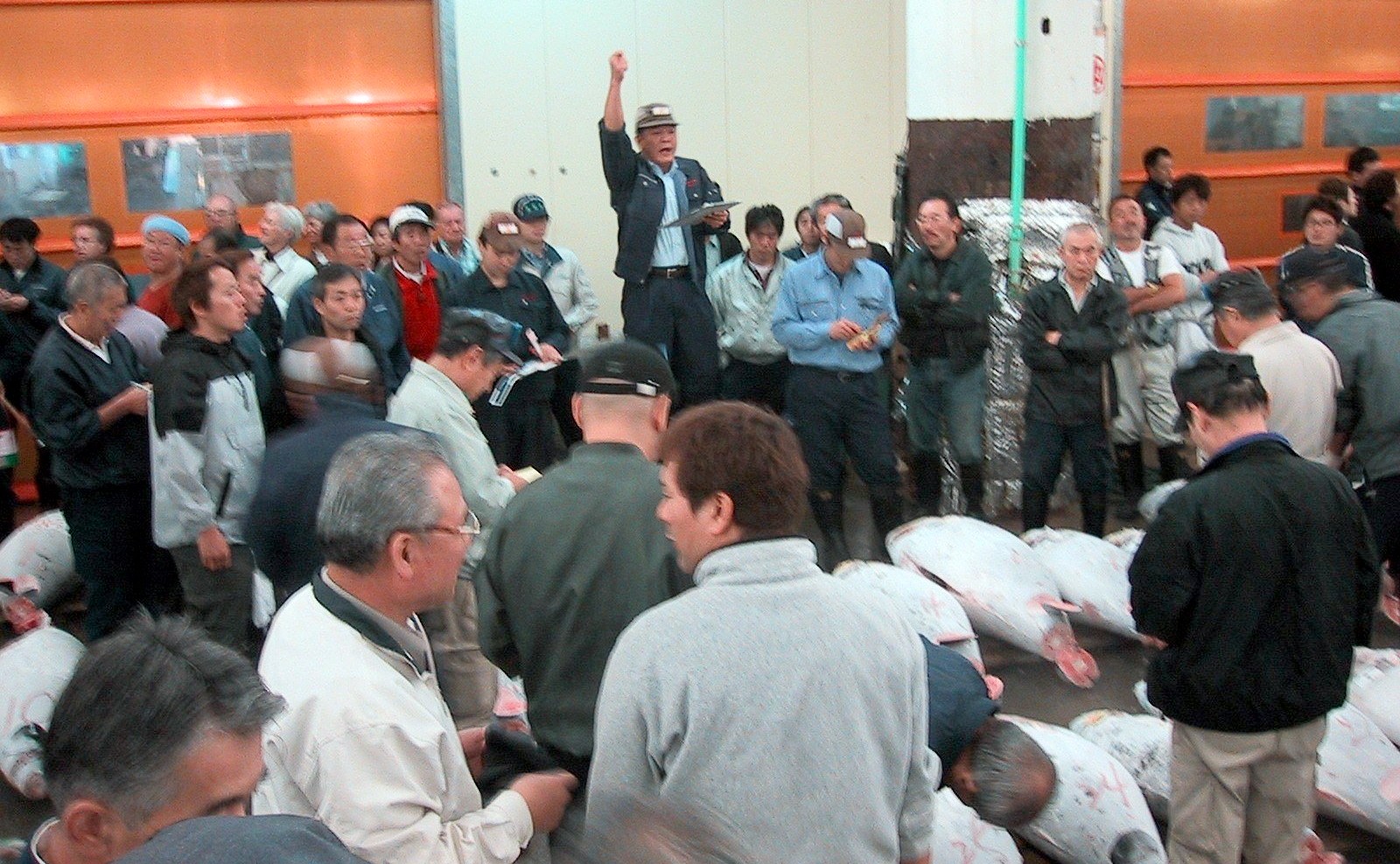 Auction_Tsukiji_fishmarket