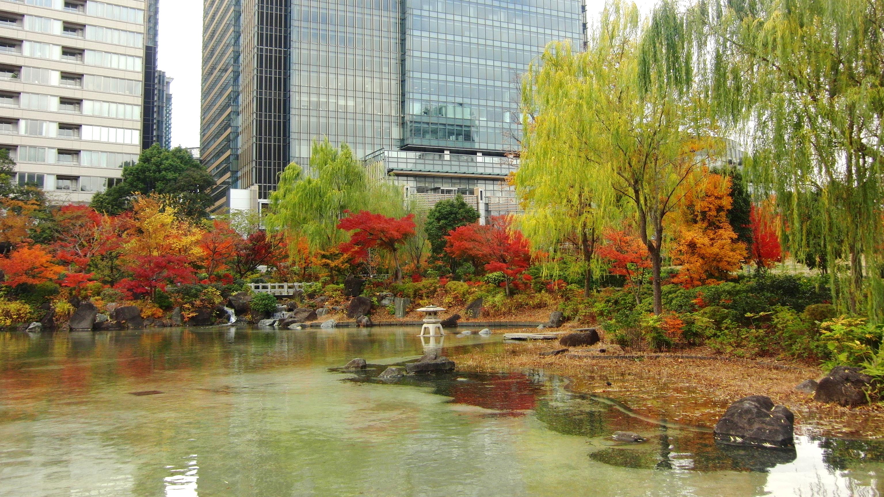 Hinokichou-Park-pond