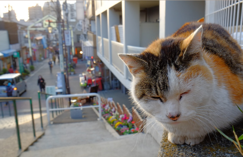 八坂銀座