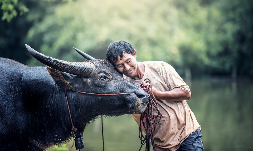 agriculture-1782431_960_720