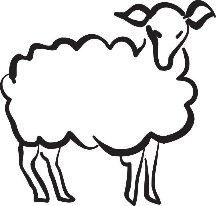 lamb-44665_960_720