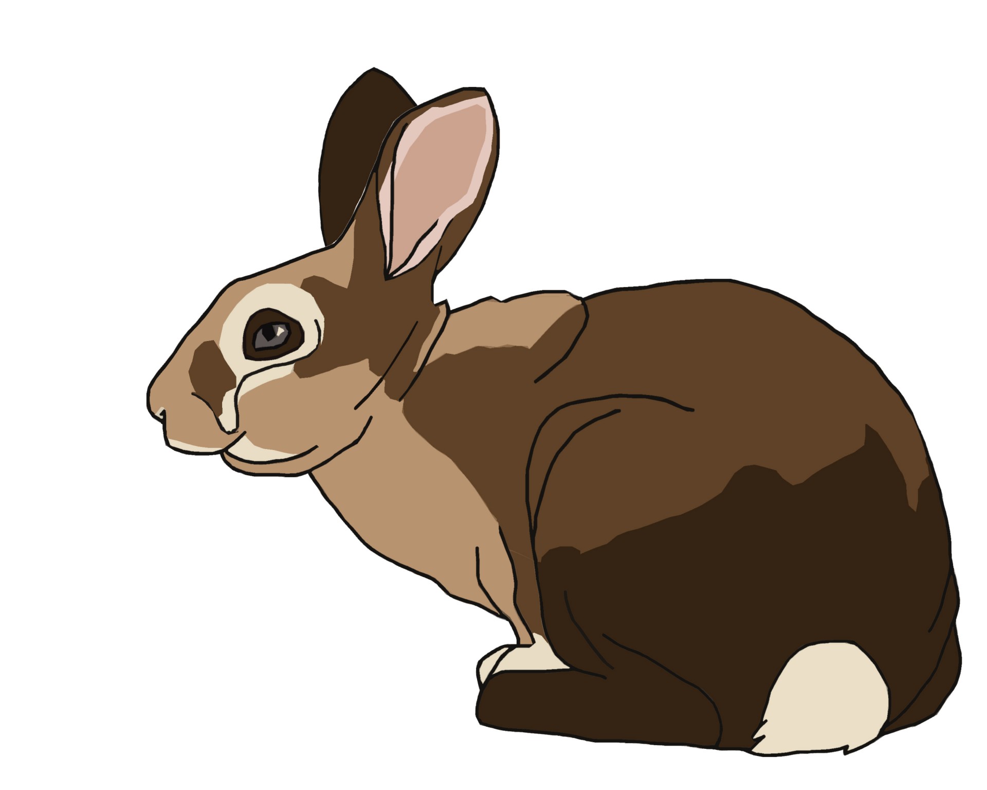 rabbit-illustration