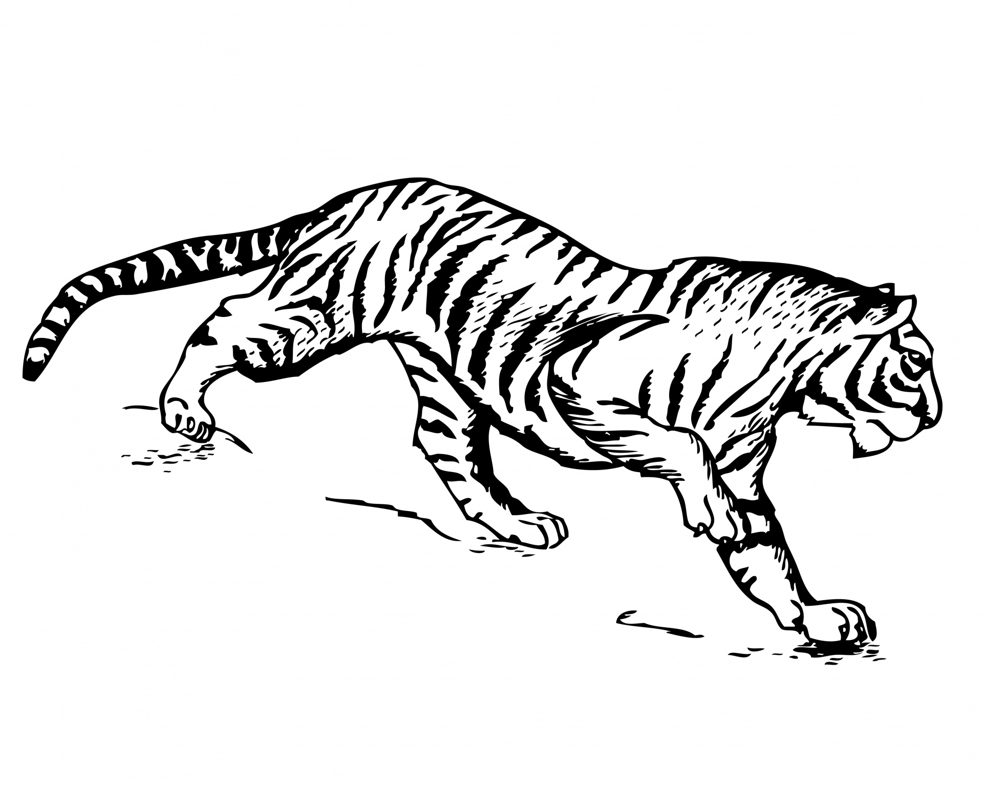 tiger-clipart-illustration-1461009833u5d