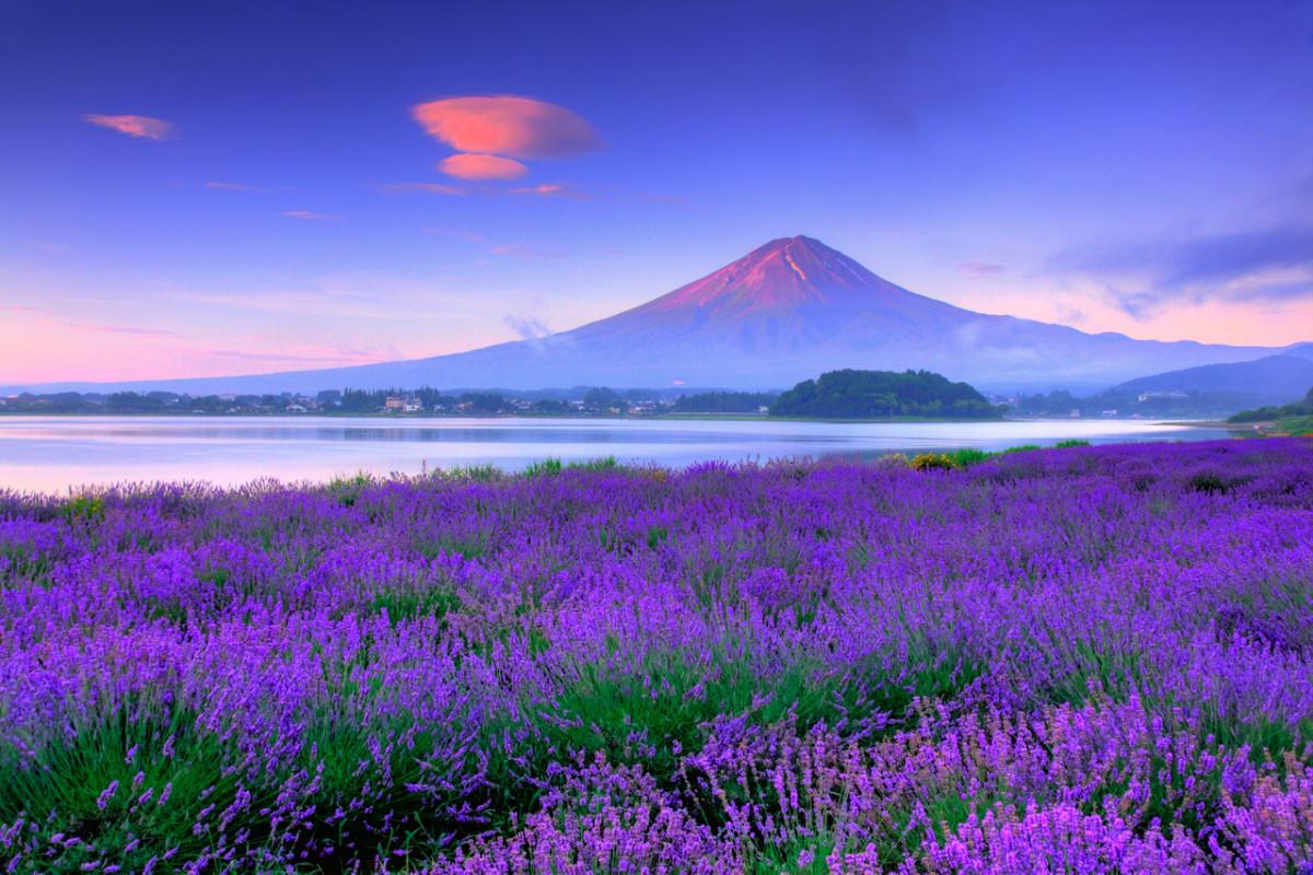 เครดิต : jp.zekkeijapan.com