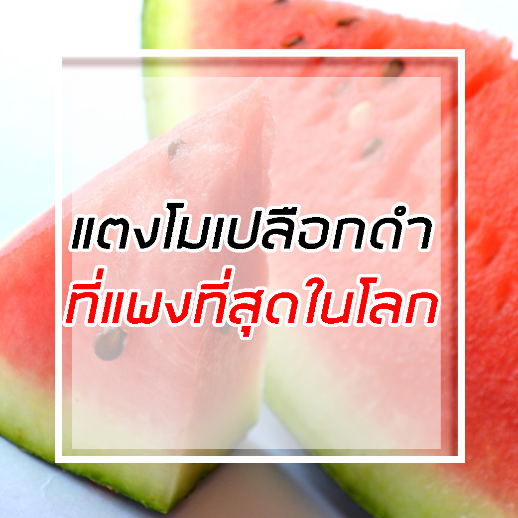 แตงโมเดนสุเกะ