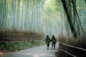 岚山竹林，京都