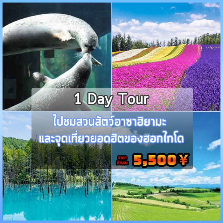 My Image 13